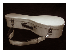 Χειροποίητη Θήκη για μαντολίνο