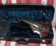 ΘΗΚΕΣ  /   ΒΑΛΙΤΣΕΣ  &  ΟΡΓΑΝΑ