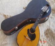 ΘΗΚΕΣ  /   ΒΑΛΙΤΣΕΣ  &  ΟΡΓΑΝΑ